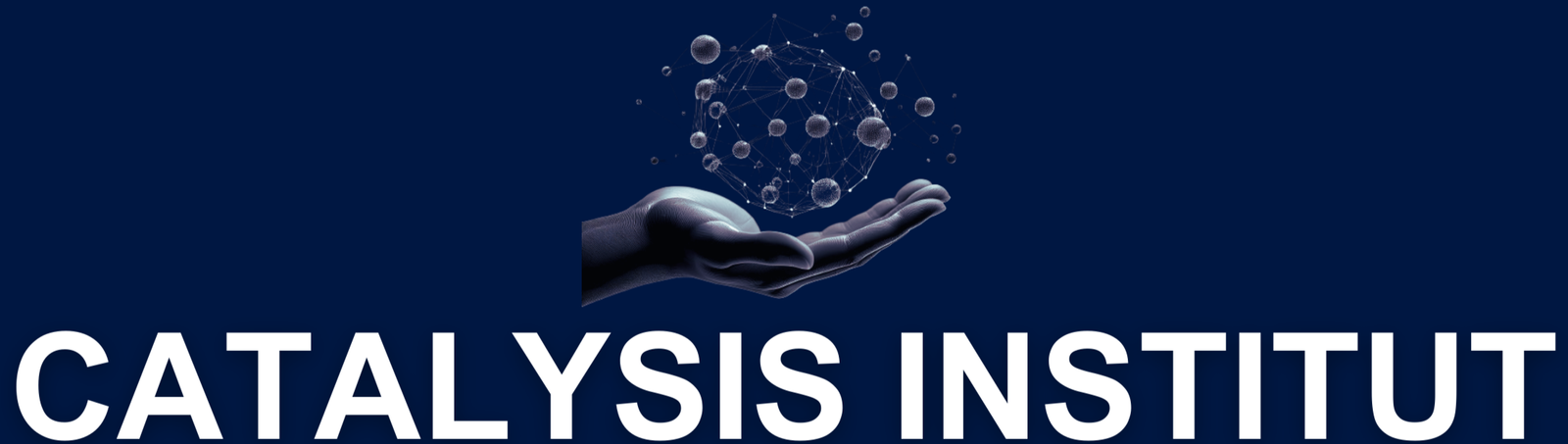 catalysis-institut.fr